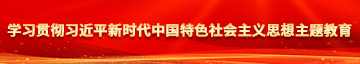 www.超黄嫩逼学习贯彻习近平新时代中国特色社会主义思想主题教育